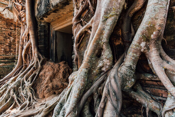 angkor wat siem reap cambodia