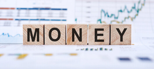 Money word written on wooden blocks on financial graphs. Financial business assets value concept