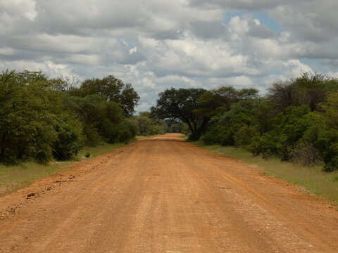Empty sand road surrounded by green trees, Mahango Game Park, Namibia