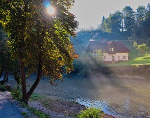 Sunray Going Through Tree in the Small Village in Slovenia. Morning Nature on the Way to Vintgar...