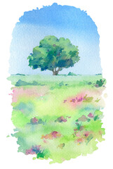 Green tree in field.Watercolor hand drawn illustration. - 360035291