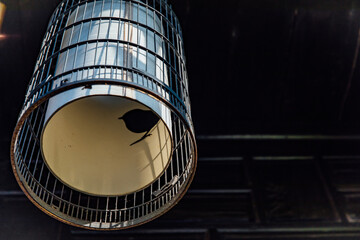 Hoi An / Da Nang Vietnam