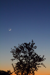 moon, mercury and venus  in the sky © bt1976