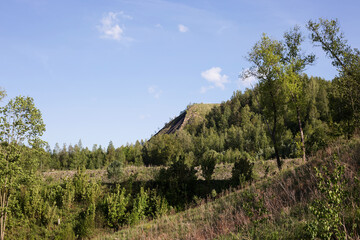 a heap of vegetation. landscape in Poland with green trees and mining heap in background on a sunny summer day