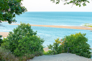 Bright green trees and sand shore with ocean background landscape
