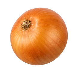 Fresh onion isolated on white background  with clipping path