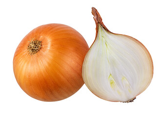 Fresh onion isolated on white background  with clipping path
