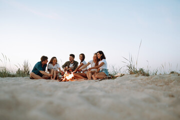 Group of happy friends frying sausages on campfire at the beach. A company of young people came...