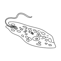 Euglena  outline vector illustration, science educated art for coloring