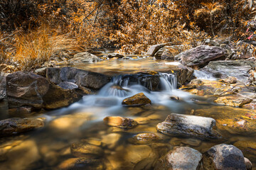 mini waterfall in the forest - long exposure