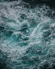 Blue turquoise ocean water. Seagull on a background of sea waves. Storm in the ocean. Top view by drone.