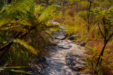 Stone trail in Chapada dos Veadeiros National Park, Goias, Brazil. Adventure travel destination.