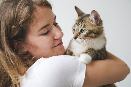 Girl is petting cat with big green eyes and lovely look at him. Pet lover on white background with domestic animal concept at home. Woman hugging domestic animal.