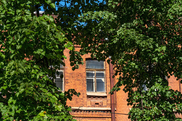 Fototapeta na wymiar window on the facade of an old brick house framed by poplar leaves