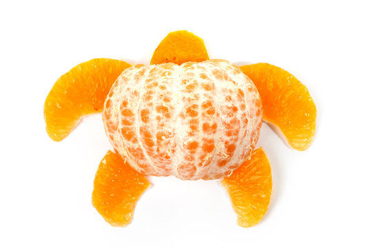 Food art creative concepts. Turtle made of mandarin orange and skin. Funny dessert for children. Fruit isolated on a white background.