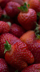 fresh Kashubian strawberries in closeup