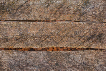 old wood background