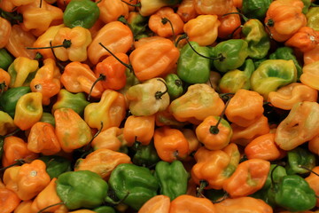 Habanero