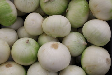 Cebolla