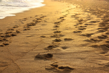 Footprints on wet yellow sand on Sri Lanka beach in summer, sunshine at sunset, go away