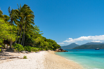 Fitzroy tropical Island beach in a sunny day