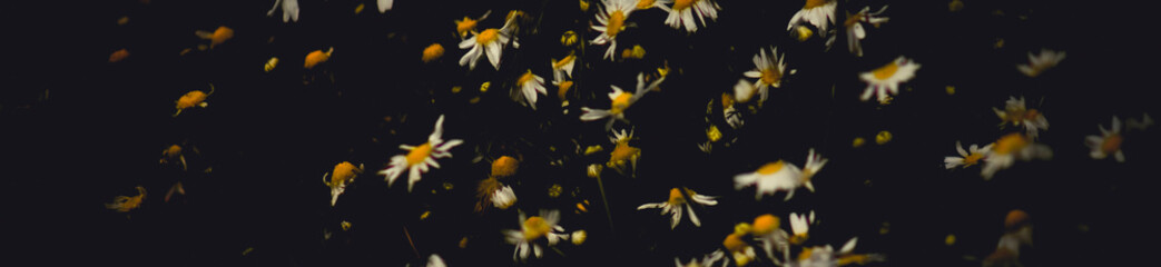 black and white background