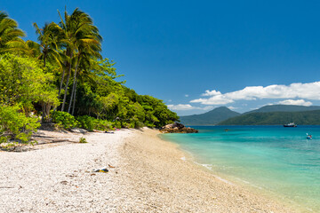 Fitzroy tropical Island beach in a sunny day