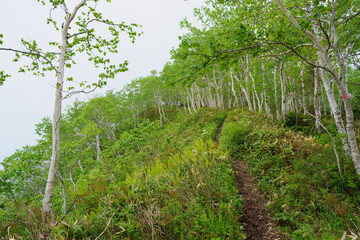 東ヌプカウシヌプリ登山道