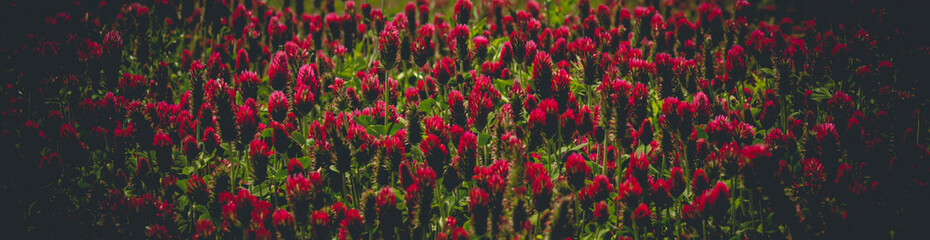 abstract colorful background