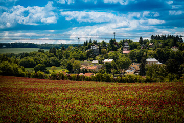Fototapeta na wymiar landscape with a field and a blue sky