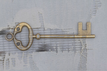 Vintage retro bronze skeleton key