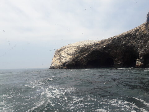 Ballestas Islands Paracas Peru 2019