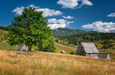 Nice village with wooden houses in the mountains of Montenegro