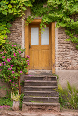 Fototapeta na wymiar old wooden door with pink roses