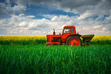 Tractor in a rapeseed field