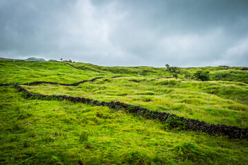 Green fields and beautiful landscape of Pico island in the Azores
