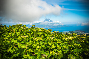 Beautiful green landscapes along the ocean in Faial island, Azores, Portugal and the view to Pico island and the mountain