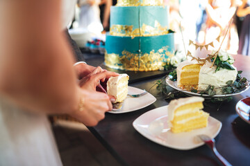Closeup of serving cake slices on white plates. Male and female hand cooperating. Wedding day concept.