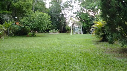 stadium lawnNatural photo without filter Fabiano Dias +55 22 998517099