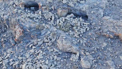 mountains where our ancestors worshiped the sun when summer arrived