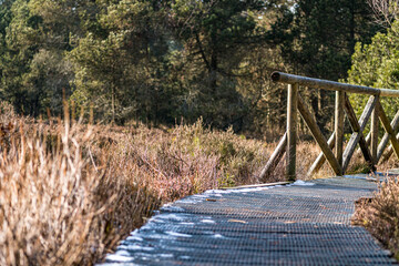 Nature protection center Wilhelmsdorf