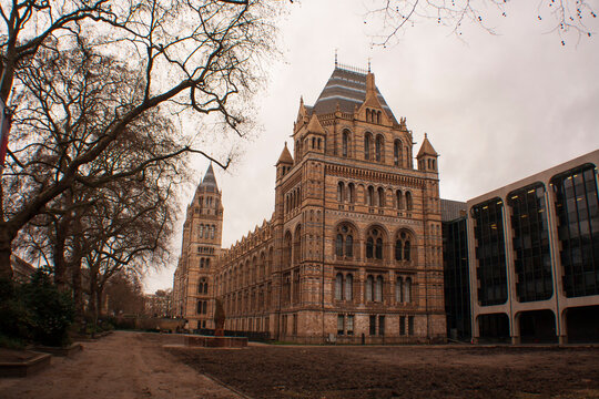 London Natural History Museum