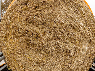 Agricultural machinery. The elements and components of agricultural techniques. Round bale of hay closeup.
