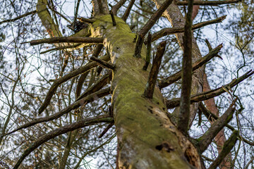 Nature protection center Wilhelmsdorf