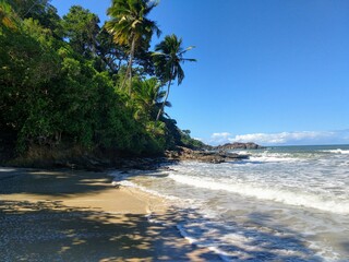 tropical beach with palm trees