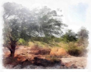 Digital painting. I'm the artist. The pictures were taken in the Wild open Desert. I am the photographer.