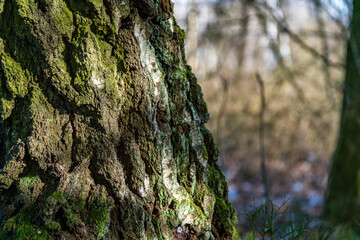 Nature protection center Wilhelmsdorf