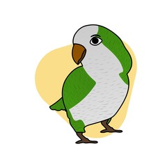 Illustration of Parrot Cartoon, Cute Funny Character, Flat Design