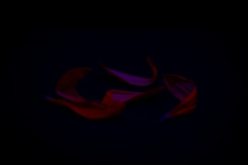 petals
