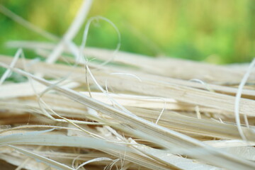 close up of thinly cut bamboo fiber